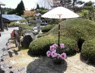 ぼたん園1-312x239.jpg?strip=