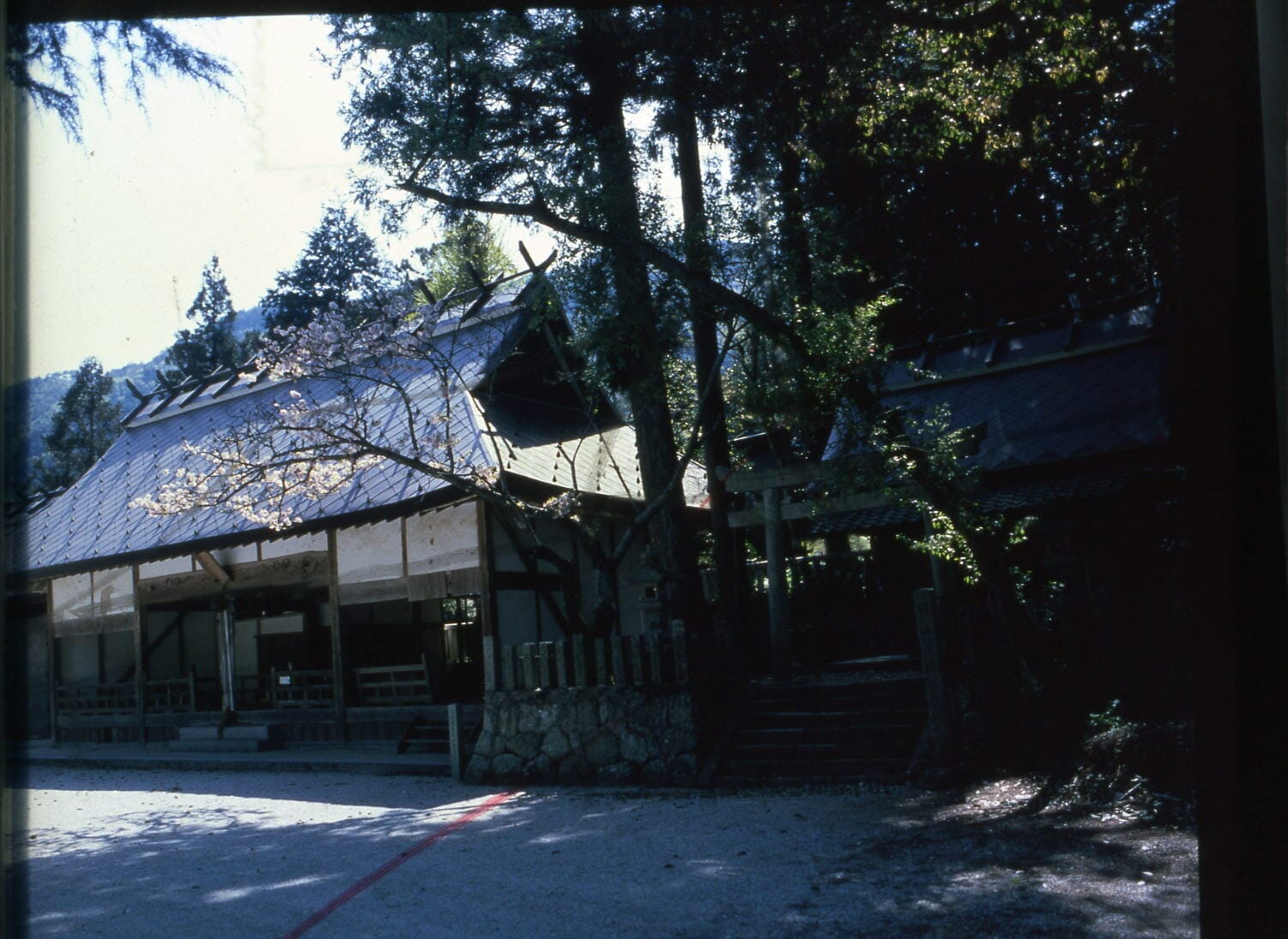 豆千代 三段 三つ身puzzleブラック（裏地水玉）