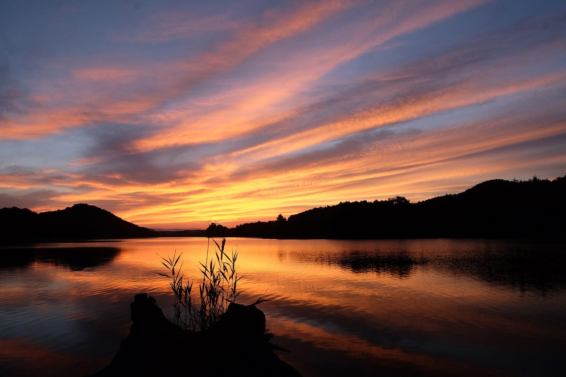 この美しさを未来へ