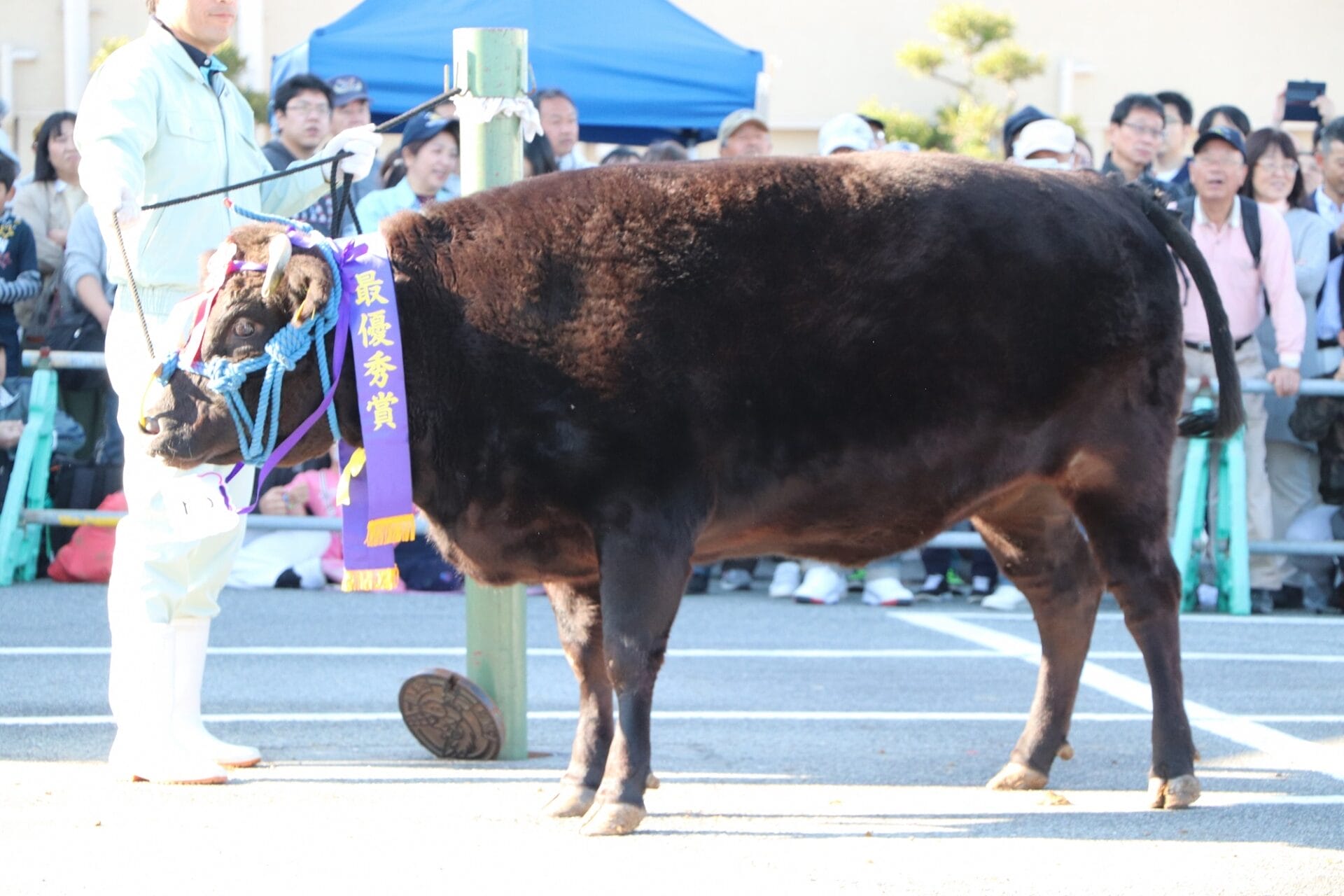 三田牛（三田肉）